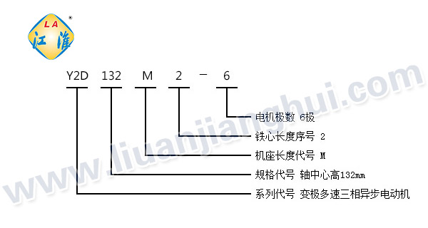 Y2D系列變極多速三相異步電動機_型號意義說明_六安江淮電機有限公司